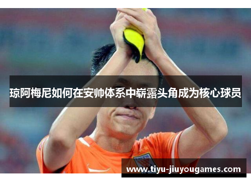 琼阿梅尼如何在安帅体系中崭露头角成为核心球员