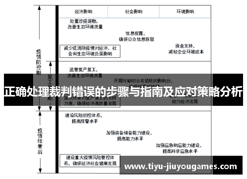 正确处理裁判错误的步骤与指南及应对策略分析