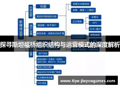 探寻斯坦福桥组织结构与运营模式的深度解析